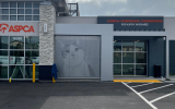 Graphic Perf, Cat, ASPCA