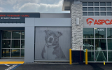 Graphic Perf, Dog ASPCA Los Angeles