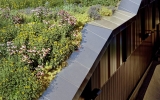 Perforated Exterior Panel