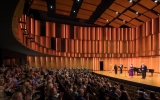 Decorative Perforated Metal Mounted on Acoustical Material 