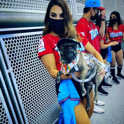 Woman holding a dog in front of a perforated metal screen