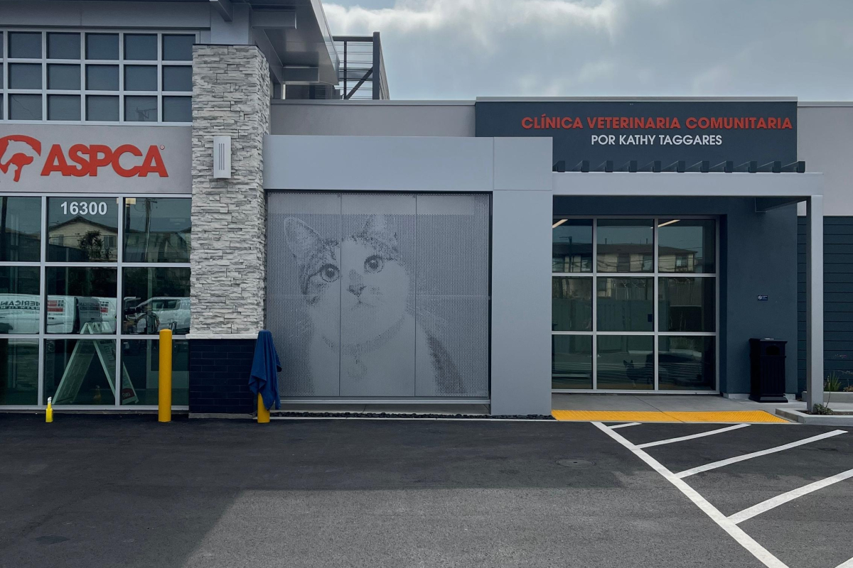 Graphic Perf, Cat, ASPCA