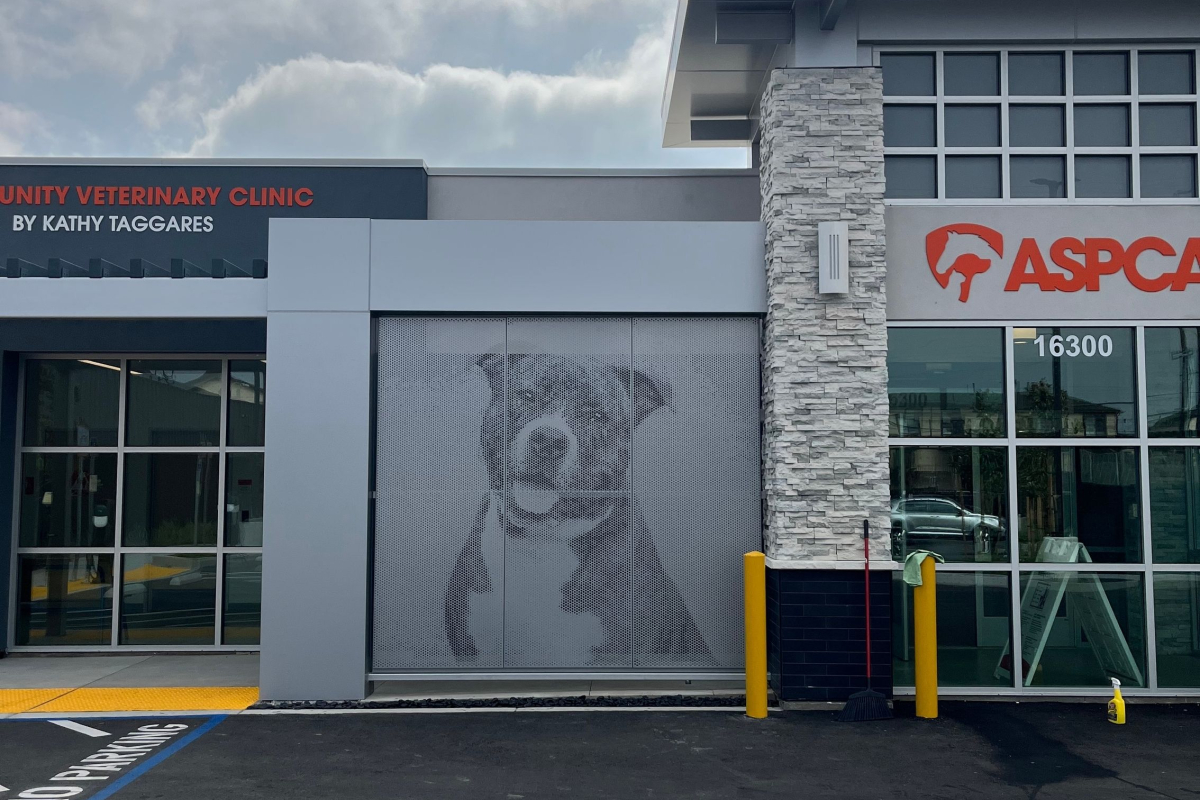 Graphic Perf, Dog ASPCA Los Angeles