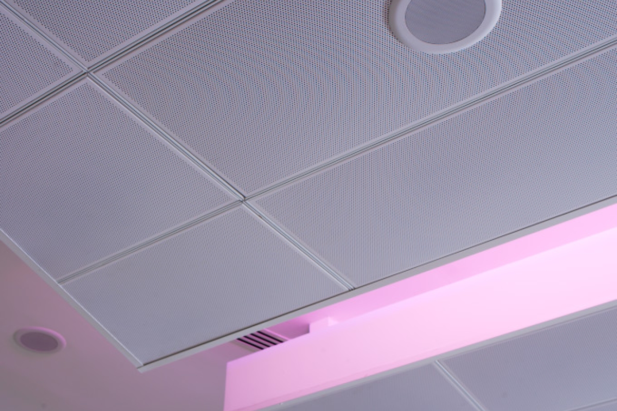 Perforated Ceiling Panel