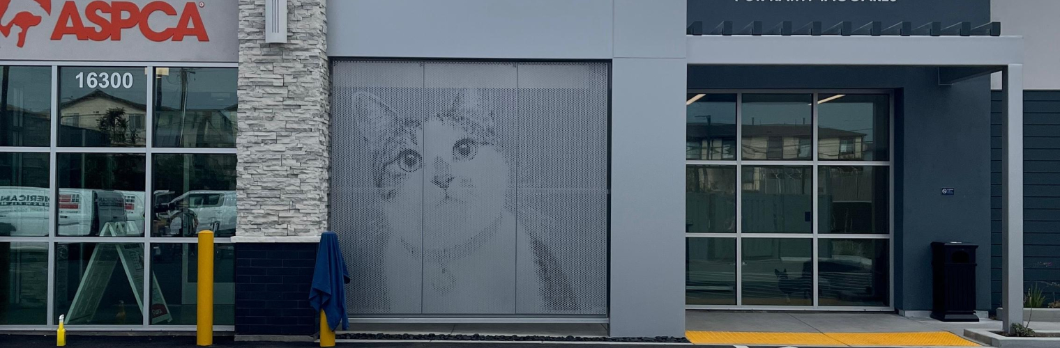 Graphic Perf, Cat, ASPCA