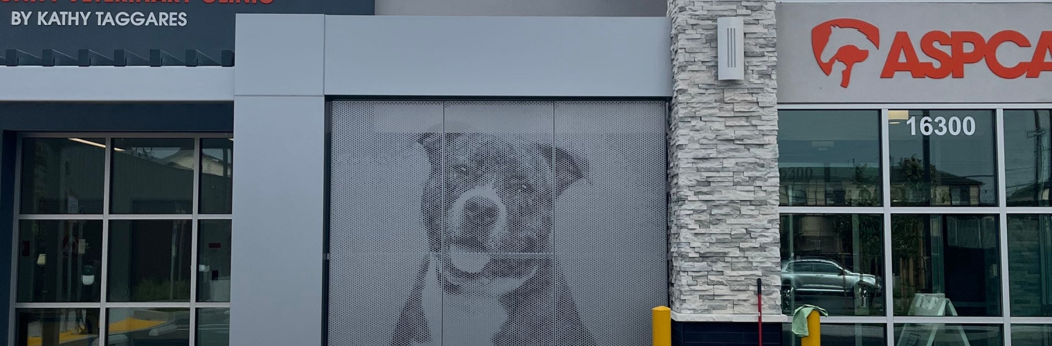 Graphic Perf, Dog ASPCA Los Angeles