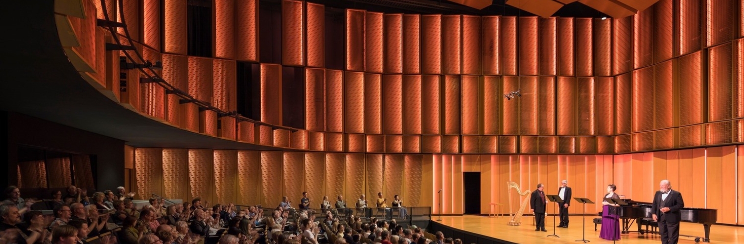 Decorative Perforated Metal Mounted on Acoustical Material 