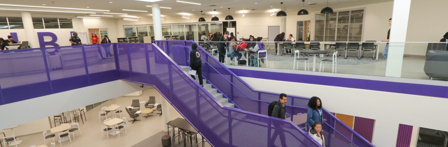 Infill Panels Painted Purple