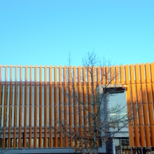 Tenley Library