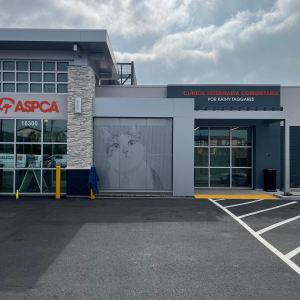 Graphic Perf, Cat, ASPCA