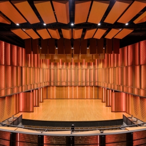 Perforated Panel in Performance Hall